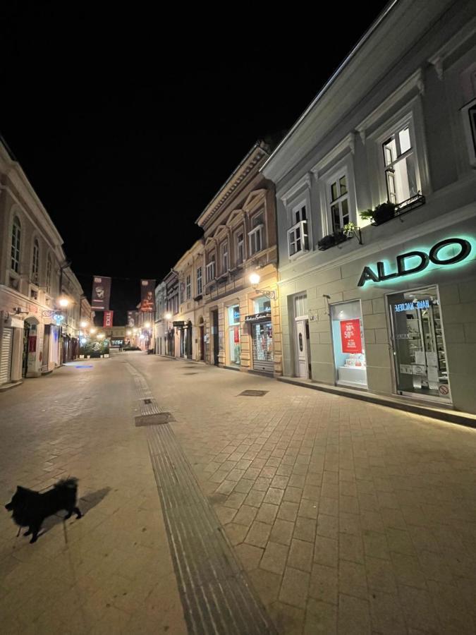 Lux Dabich 1 Apartment Novi Sad Exterior photo